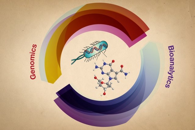 Genomics-vs-Bioanalytics - Credit - Wing NganInk Design (edited by MIT News).jpg